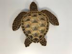 Turtle as a mandSchildkröte als Mandala Wandbildala mural